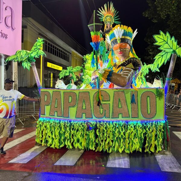 No Berço Esplêndido da Criação, Papagaio Pinta a Esperança com as Cores da Imaginação